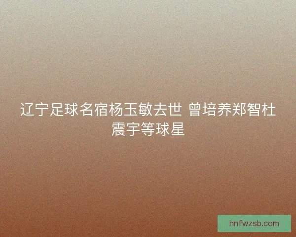 辽宁足球名宿杨玉敏去世 曾培养郑智杜震宇等球星